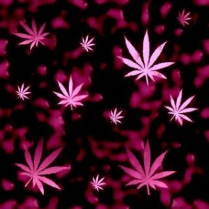 pink weed Image