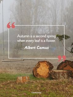 18 Quotes That Will Make You Fall in Love With Autumn