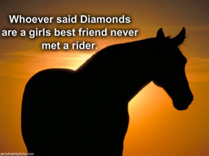 horse quotes for horse lovers