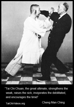... is a good quote from chen man ching on the practice of tai chi chuan