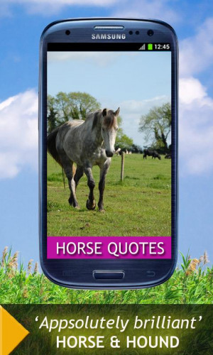 Horse Quotes And Sayings