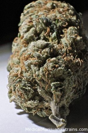 Responses Have Some Outdoor