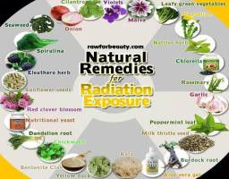 Natural Remedies For Radiation Exposure