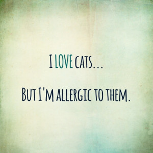 ... when i am with you cute love quotes for him pinterest love love cute