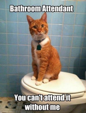 Pinned by Taylor Hughson