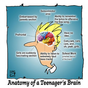 Inside the Teenage Brain