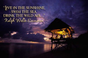 ... Sunshine,Swim The Sea,Drink The Wild Wild Air” ~ Good Night Quote