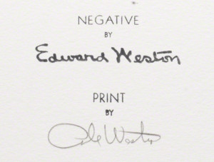 Edward Weston His Life And...