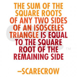 scarecrow math quote dorothy gale funny math quotes exam t shirt math ...