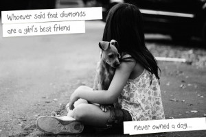 ... Quote: Whoever said diamonds area girls best friend never owned a dog
