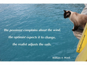 quotes – Bailey Boat Cat