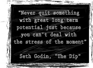 ... deal with the stress of the moment” Seth Godin, “The Dip