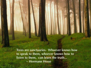 Hermann Hesse ~ Trees