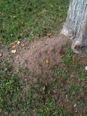 sarahmsalter oh Sarah, you’re such a girl. (in reply to @katdish ...