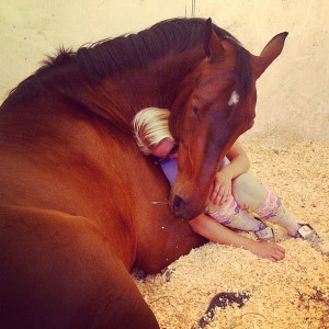 Equestrian #Horse #Riding #Sport #Life Missing horse riding