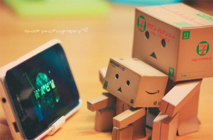 You Can See Many More Danbo