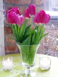 tulips season more tulip seasons jewell s catering events ideas ...