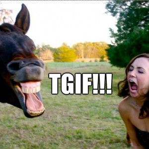 TGIF! Let’s Raise The Hoof As We Get Into The Weekend
