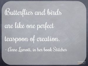 ... one perfect teaspoon of creation. - Anne Lamott, in her book Stitches