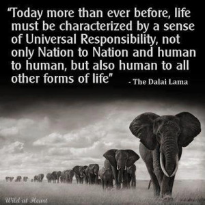 dalai_lama-quote-universal-responsibility-sentient-beings.jpg