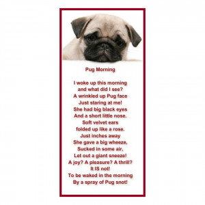 Pug Poems