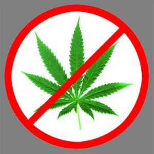 Legalizing Marijuana: Good Move or Bad Call?