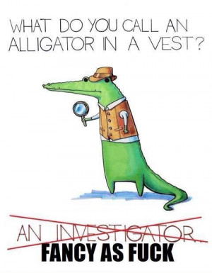 Categories » Humour » What do you call a Alligator in a vest again