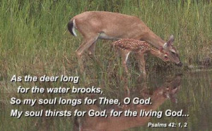 As the deer panteth after the water, so panteth my soul after thee, O ...