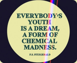 fitzgerald quote literature