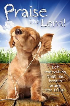Christian posters for kids - Cute puppy is praising the Lord, while ...