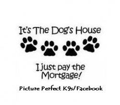 doggie quotes dogs quotes dogs house furry wall decals pets dog houses ...