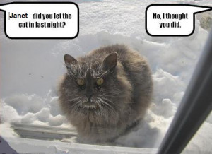 in Animal Jokes , Funny Animal Pictures