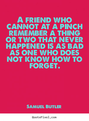 Samuel Butler Quotes - A friend who cannot at a pinch remember a thing ...
