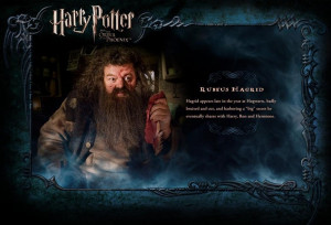 Harry Potter OOTP Character Description - Hagrid