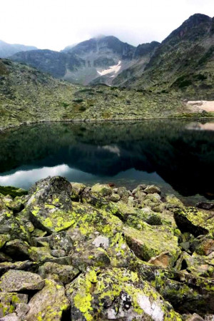 Bulgarian sayings in English