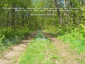 ... , in which you can walk with love and reverence. ~Henry David Thoreau