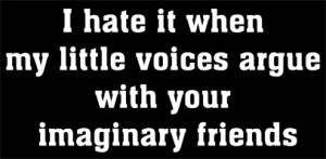 hate it when my little voices argue with your imaginary friends