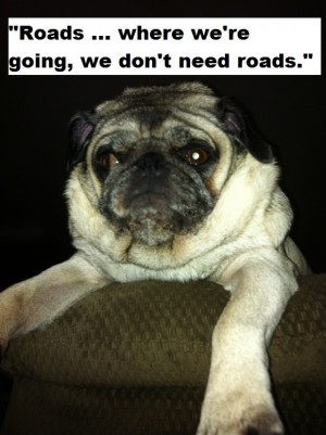 pug quotes