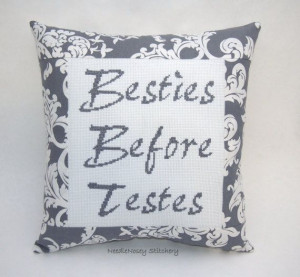 Funny Cross Stitch Pillow, Gray Pillow, Best Friends Quote