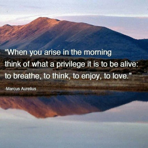 When you arise in the morning, think of what a privilege it is to be ...