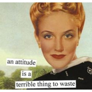 Anne Taintor napkins, attitude
