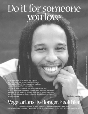 Ziggy Marley Ad