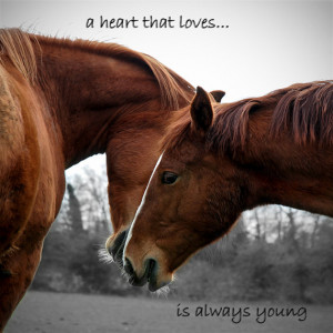 With or w/out quote Select an option With quote Without quote