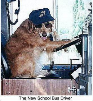 The New School Bus Driver