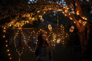 lantern, party, tree, twinkle lights, yellow