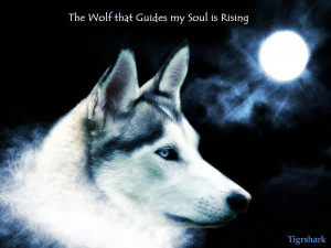 Wolf Soul Wallpaper