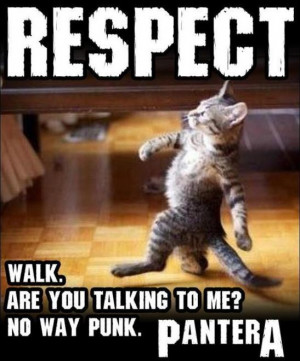 Meet Mr. Skippers, the lead singer of the tribute band 'Pet'-tera ...