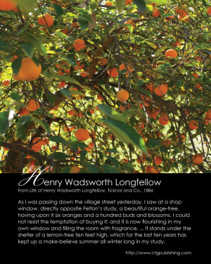 ... Longfellow – Orange Tree Quote – Orange Photo by CTG Publishing