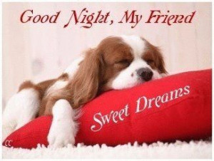 good night my friend More