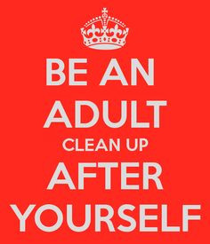 BE AN ADULT CLEAN UP AFTER YOURSELF adult clean, apart livin ...